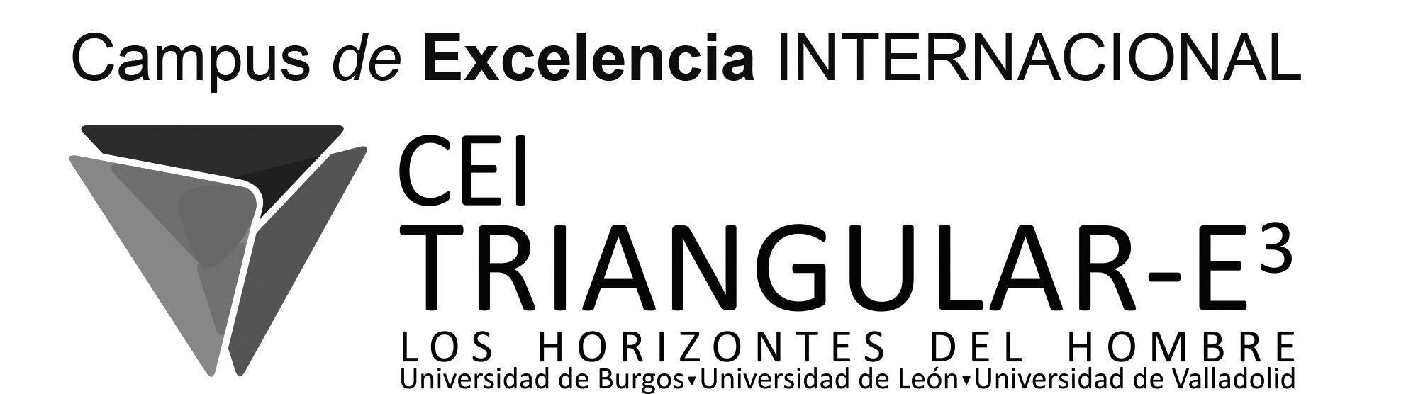 Página web de CEI Tringular-E3